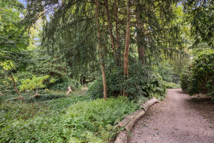 Foto 33 van Westzeedijk 212