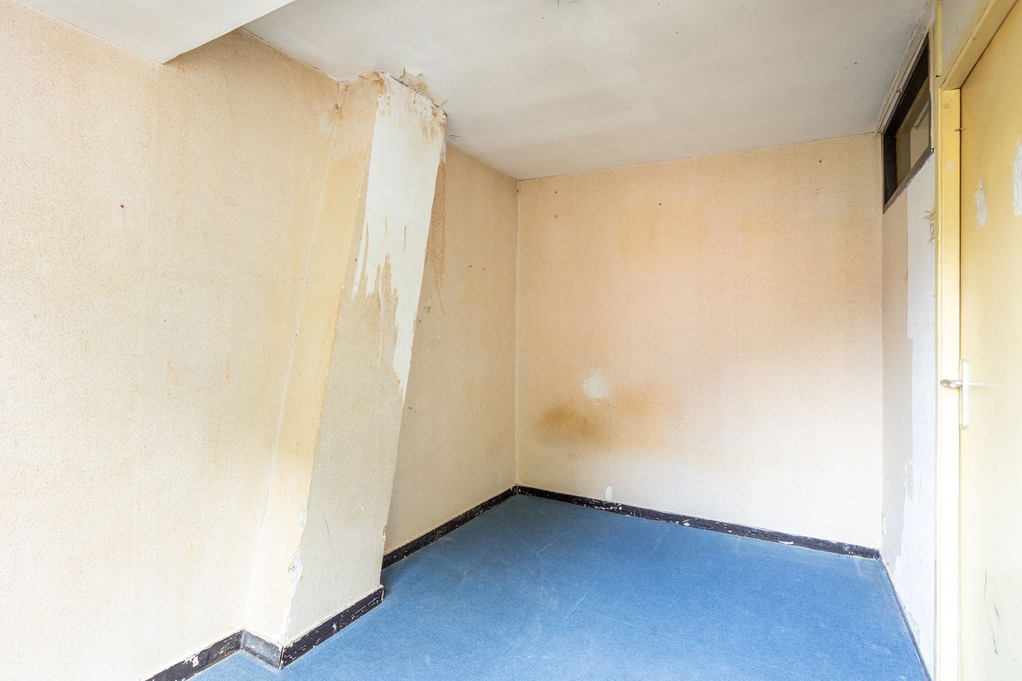 Foto 14 van Begoniastraat 84