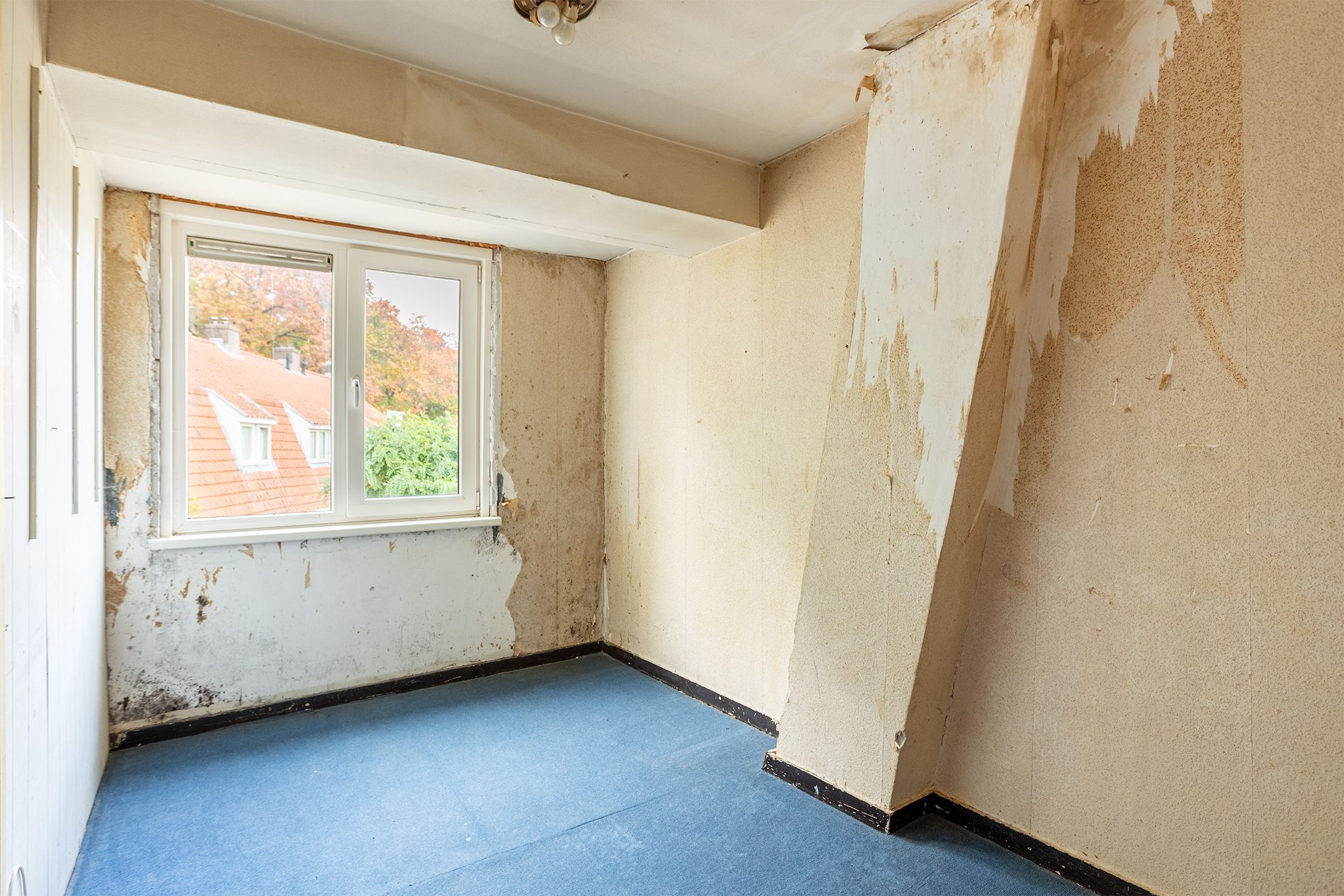 Foto 15 van Begoniastraat 84