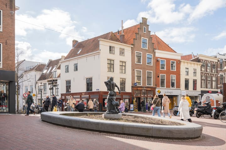 Foto 42 van Van der Werfstraat 3-E