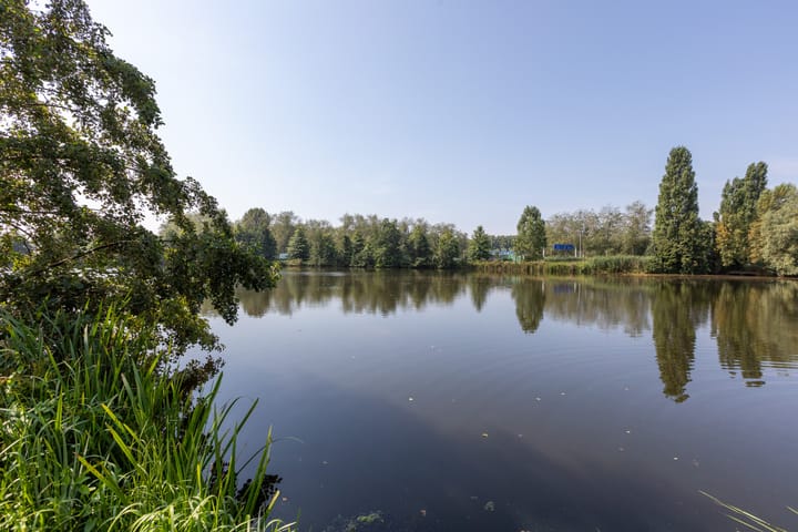 Photo 21 of Aalscholversingel 380