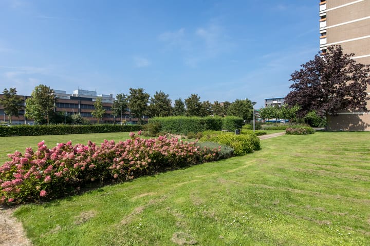 Photo 20 of Aalscholversingel 380