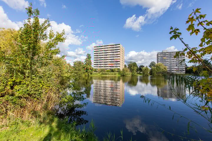 Photo 22 of Aalscholversingel 380