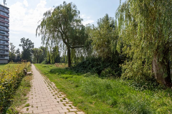 Photo 50 of Aalscholversingel 380