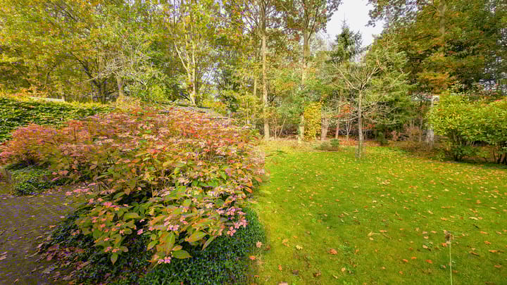 Photo 37 of Houtlaan 41