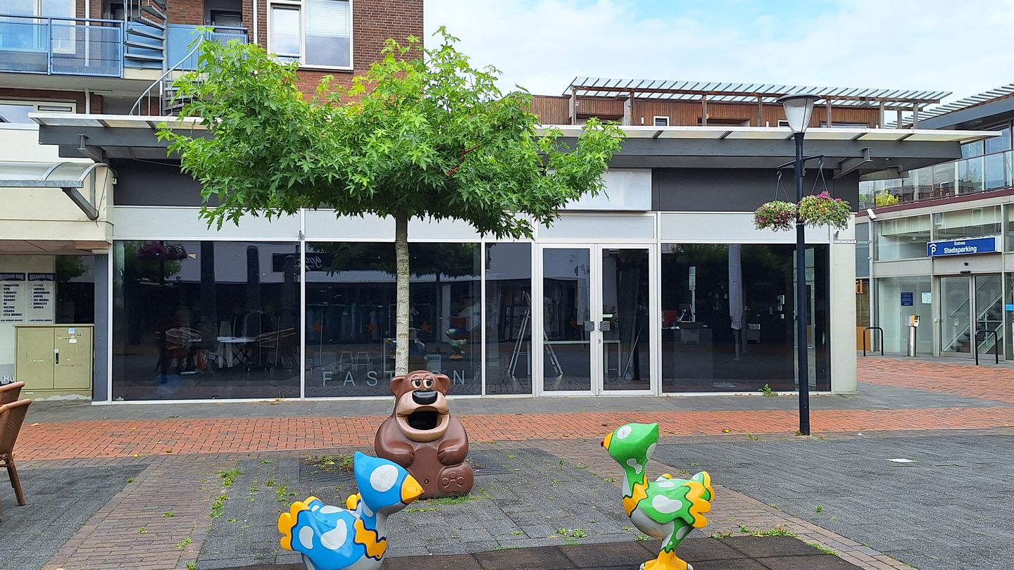 Bekijk foto 2 van Europaplein 73