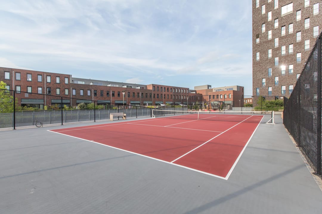 Photo 41 of Het Hout 202