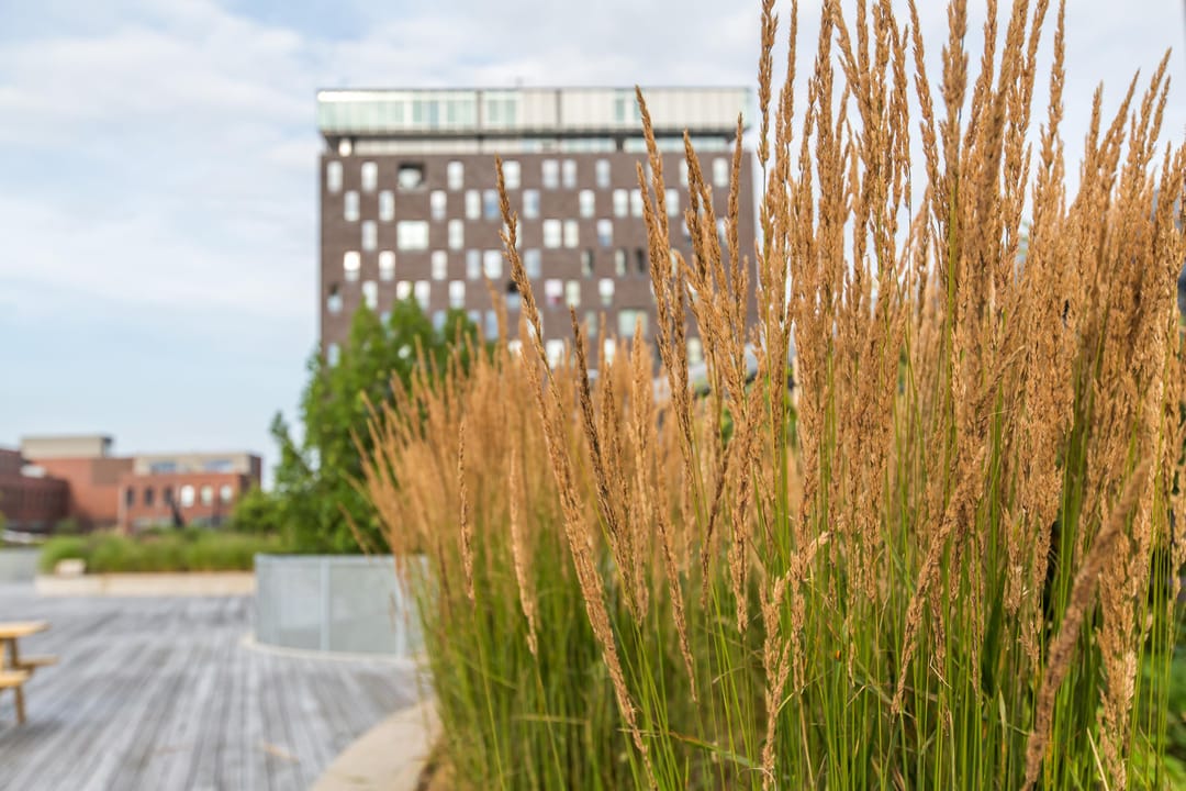 Photo 43 of Het Hout 202