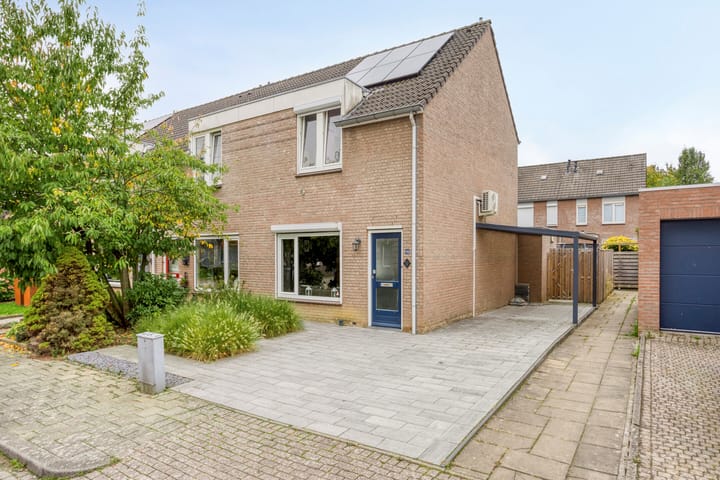 Photo 24 of Jacques Lebel 14