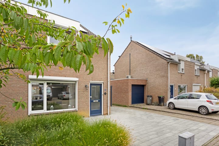 Photo 25 of Jacques Lebel 14