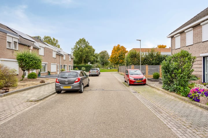 Photo 26 of Jacques Lebel 14