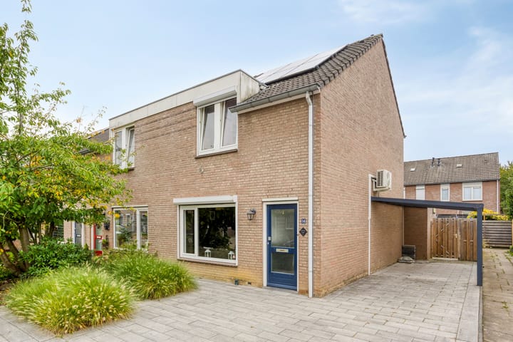 Photo 28 of Jacques Lebel 14