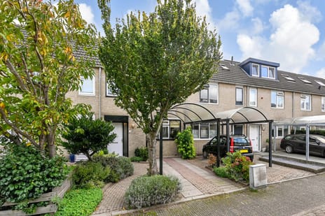 Lodewijk van Hamelstraat thumbnail