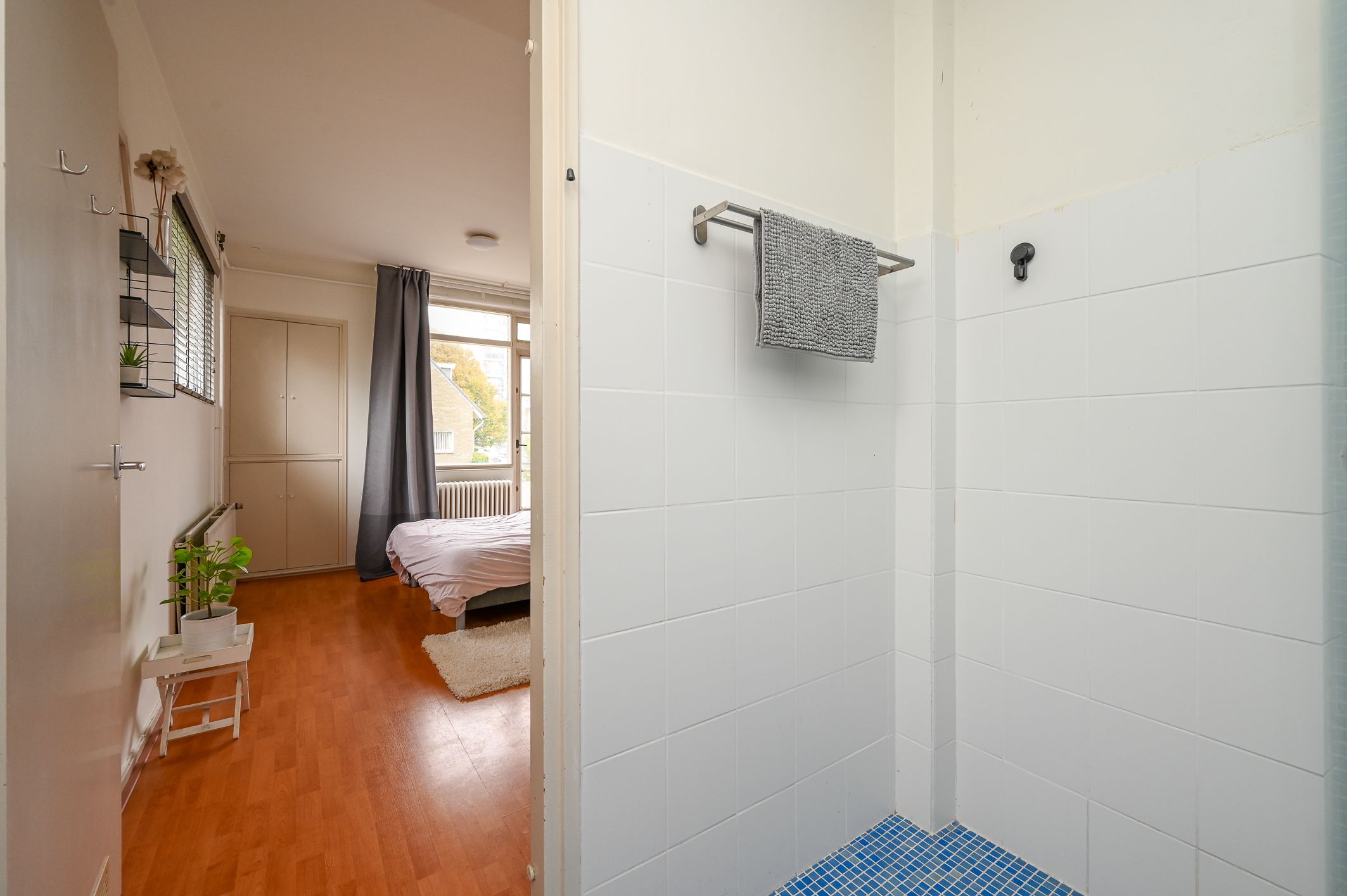 Foto 30 van Ieplaan 133