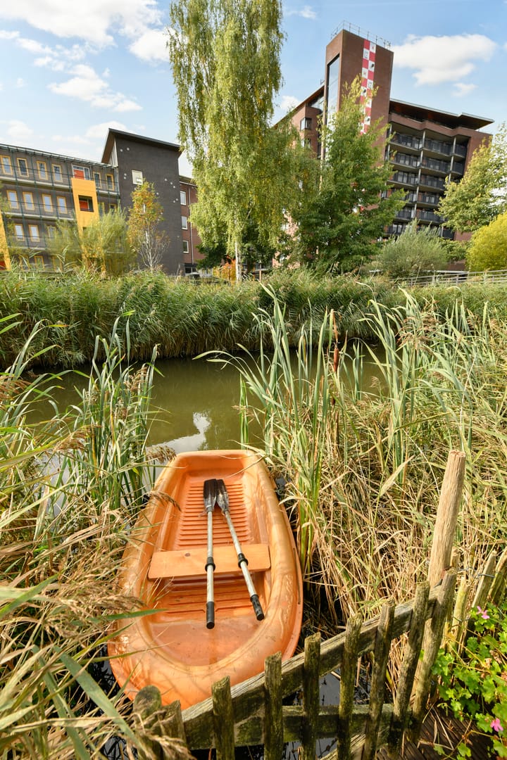 Photo 4 of Stade de Colombes 68