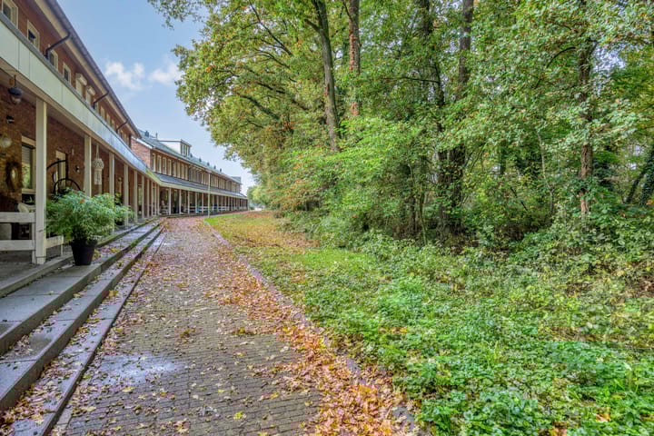 Foto 39 van Avondroodvlinder 14-A