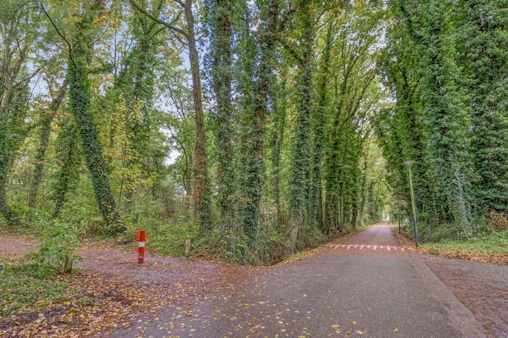 Foto 40 van Avondroodvlinder 14-A