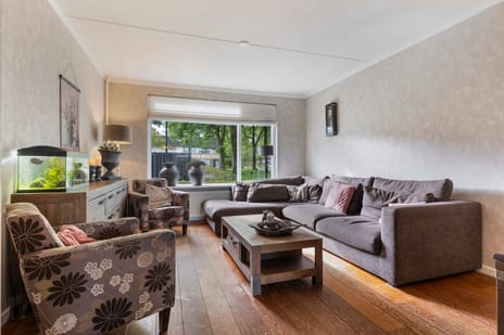 Salomonszegel 49 tertiary image