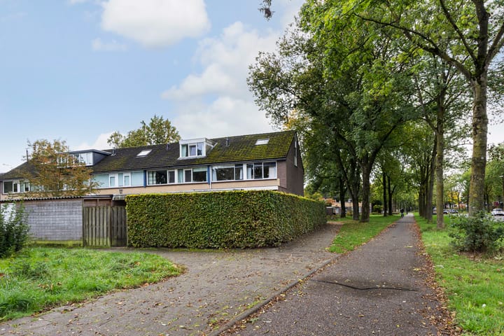 Foto 29 van Salomonszegel 49