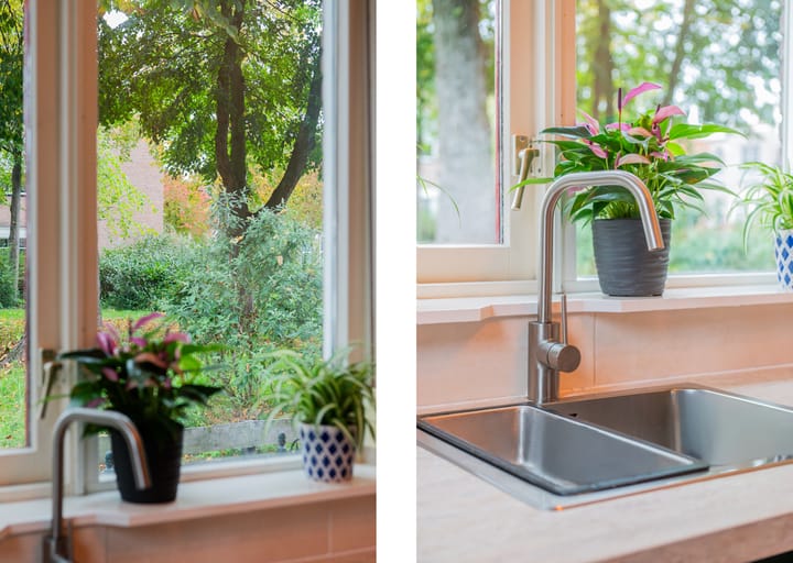 Foto 7 van Rectorsweerd 7