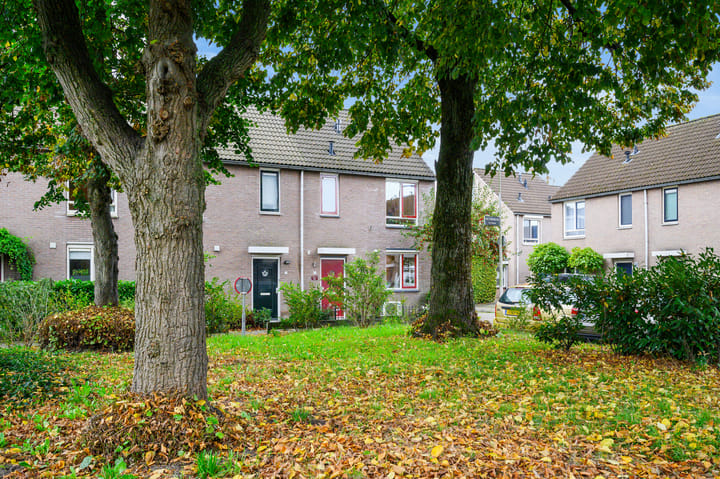 Foto 22 van Rectorsweerd 7