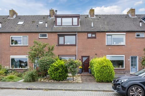 undefined main image