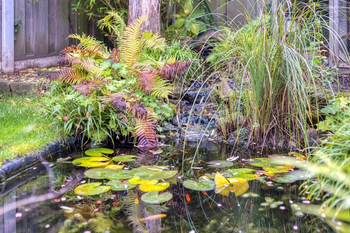 Foto 26 van Clematisstraat 25