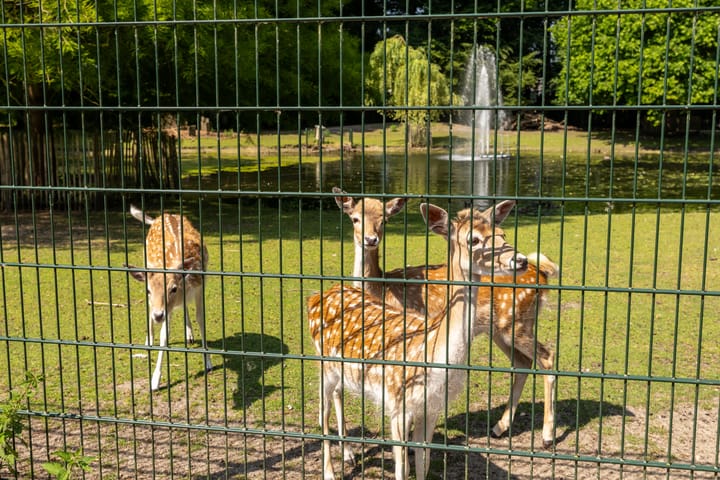 Photo 43 of Albert Neuhuyslaan 23