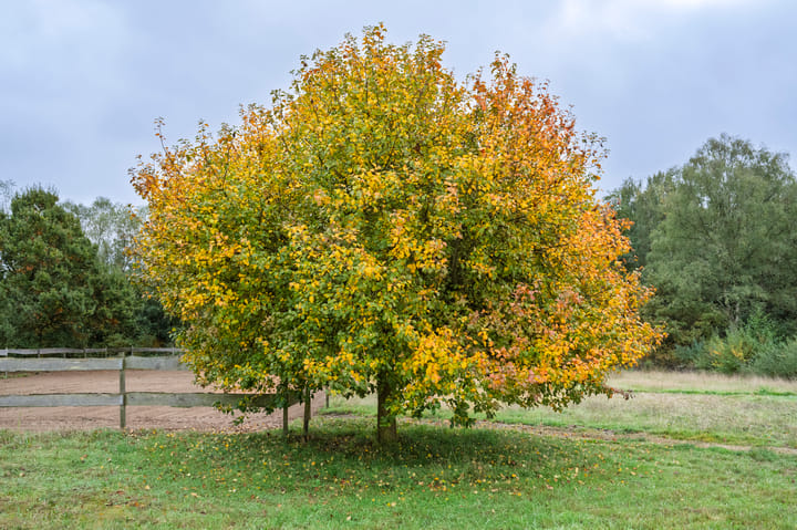 Photo 25 of Zilvensebroekweg 57
