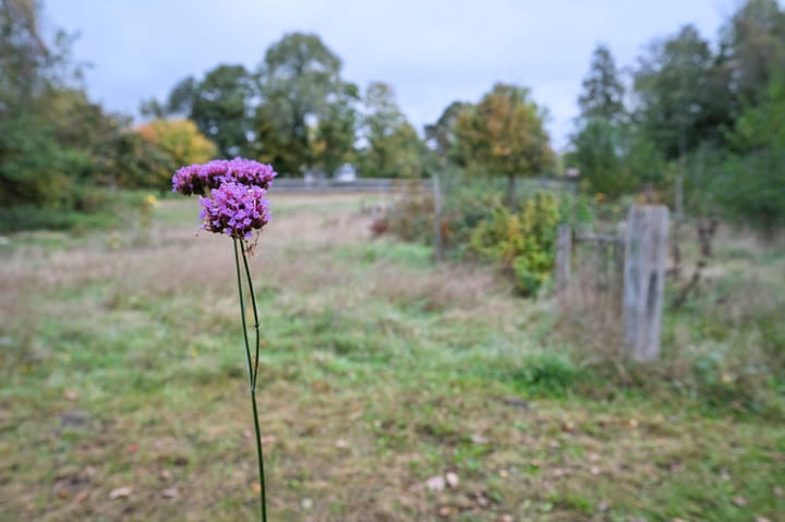 Photo 26 of Zilvensebroekweg 57