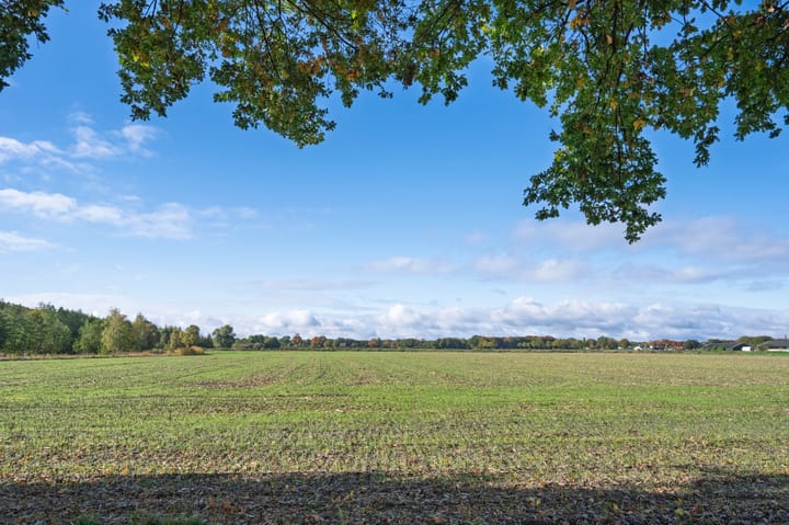 Photo 42 of Zilvensebroekweg 57