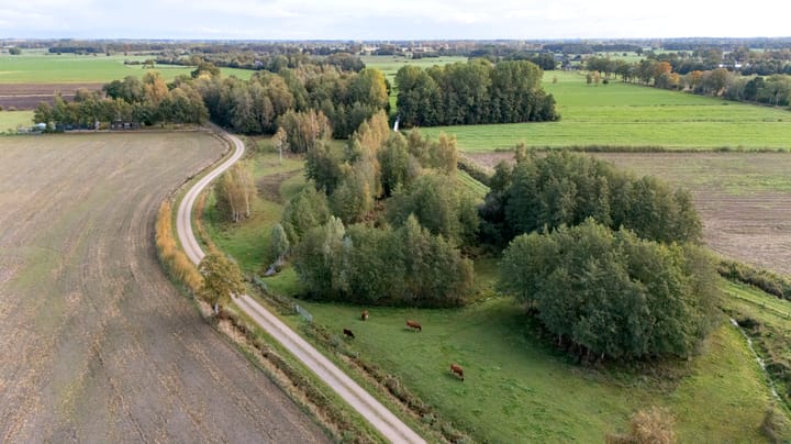 Photo 47 of Zilvensebroekweg 57