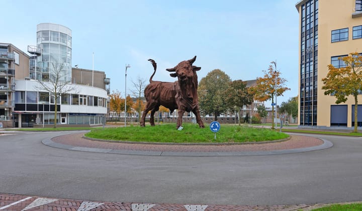 Photo 22 of Hogeweg 15-B