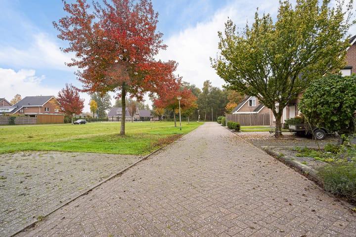 Photo 2 of Wollegras 5