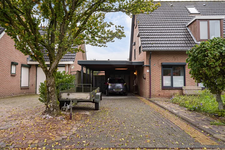 Foto 36 van Wollegras 5