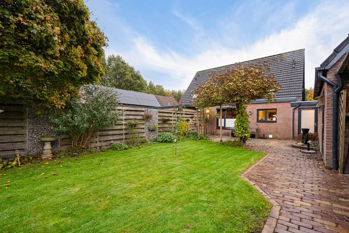 Foto 41 van Wollegras 5