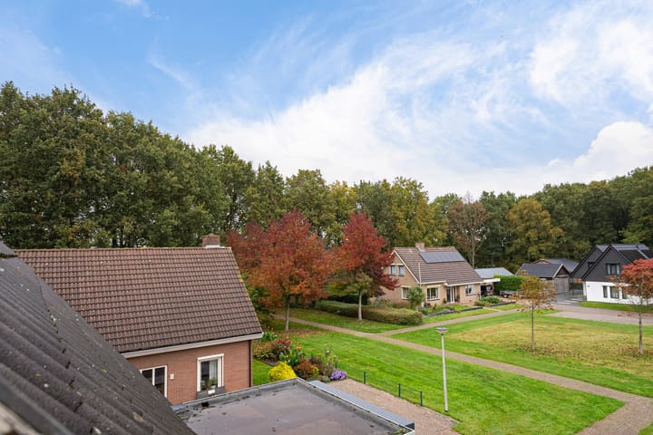 Foto 43 van Wollegras 5