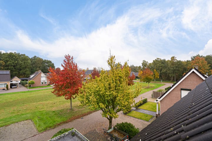 Foto 44 van Wollegras 5