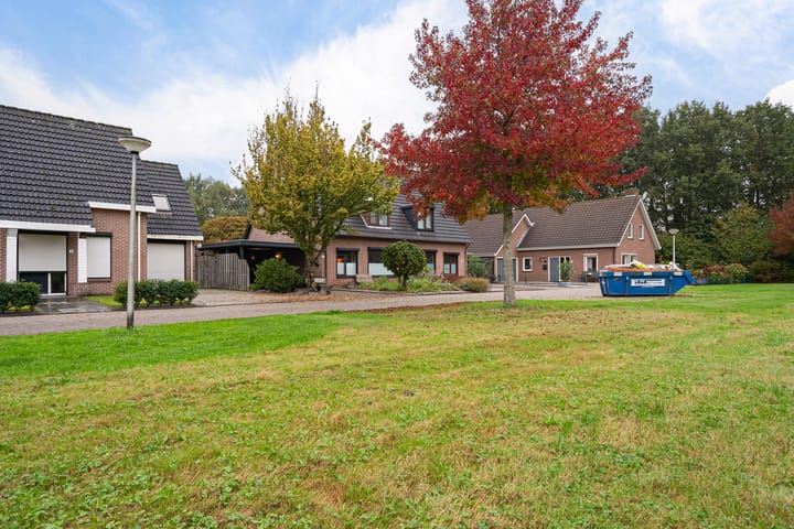 Foto 45 van Wollegras 5