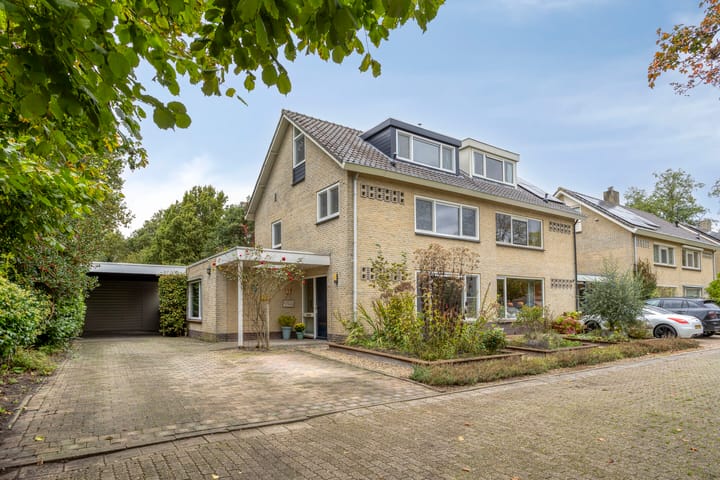 Struikstuk 48 main image