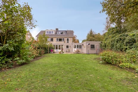 Struikstuk thumbnail