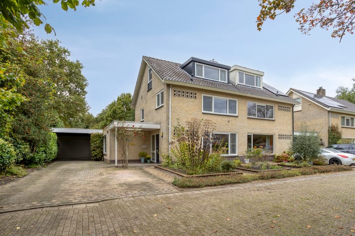 Foto 4 van Struikstuk 48