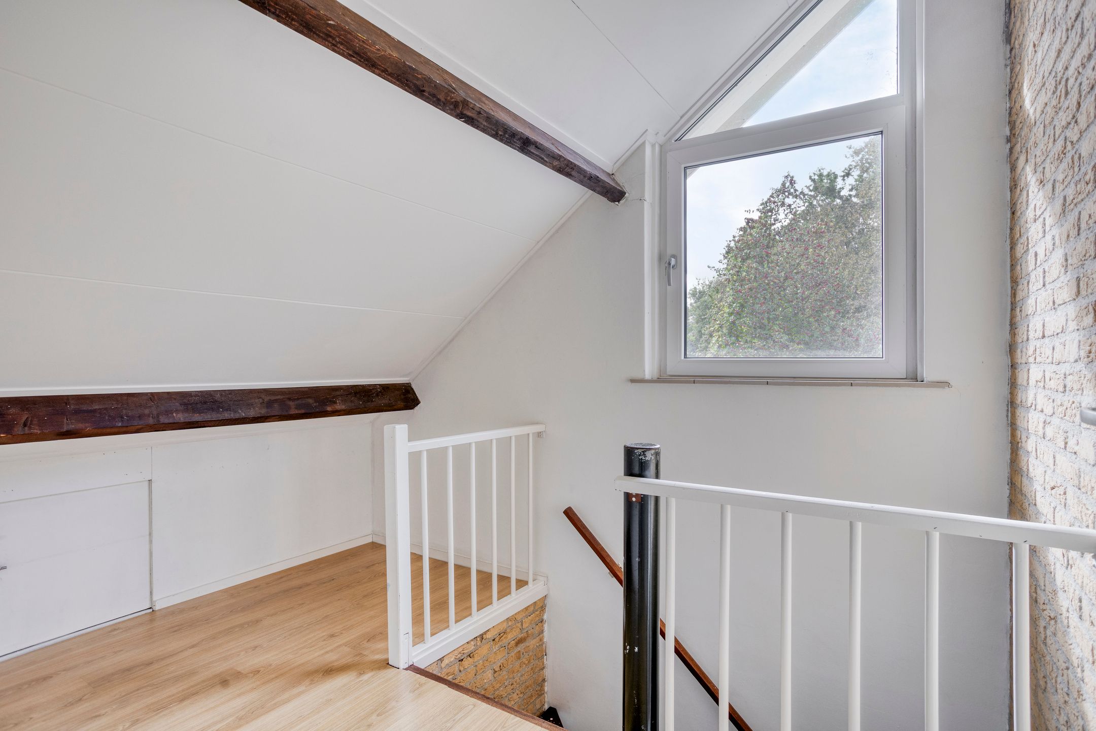 Photo 33 of Struikstuk 48