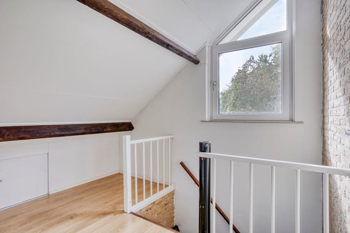 Foto 33 van Struikstuk 48