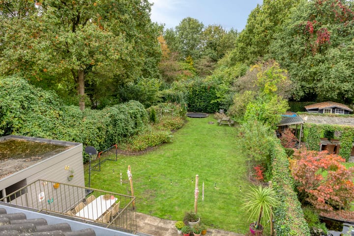 Foto 39 van Struikstuk 48