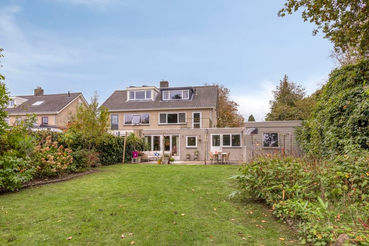 Foto 40 van Struikstuk 48