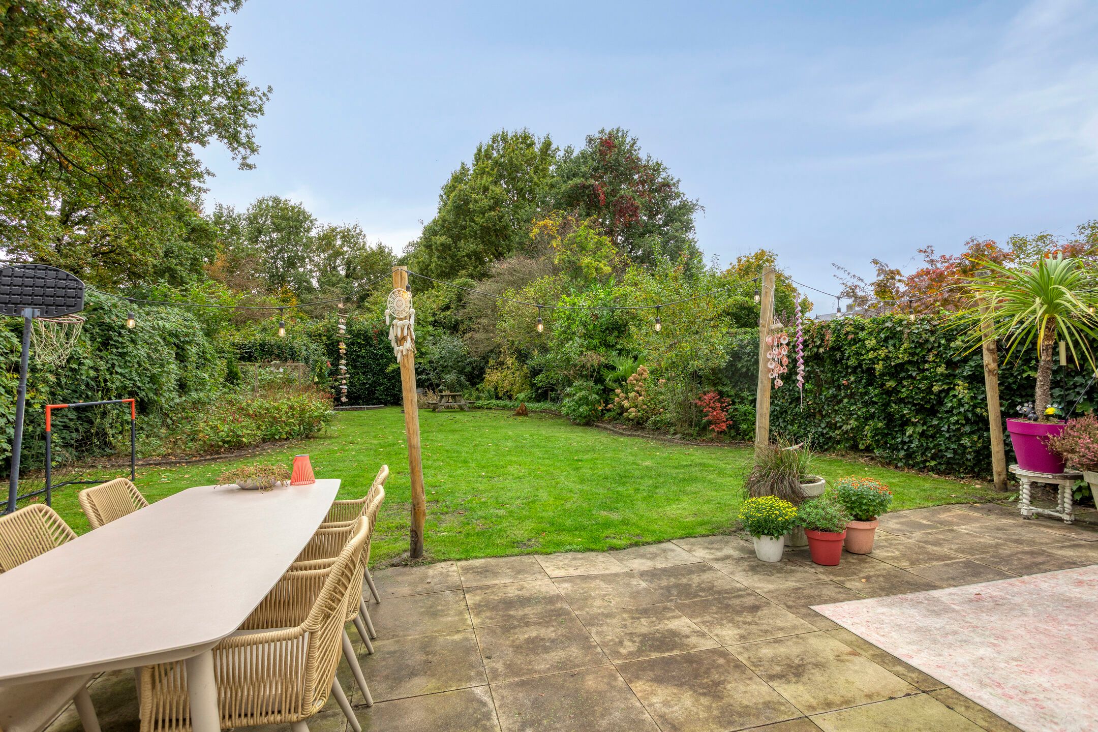 Photo 42 of Struikstuk 48