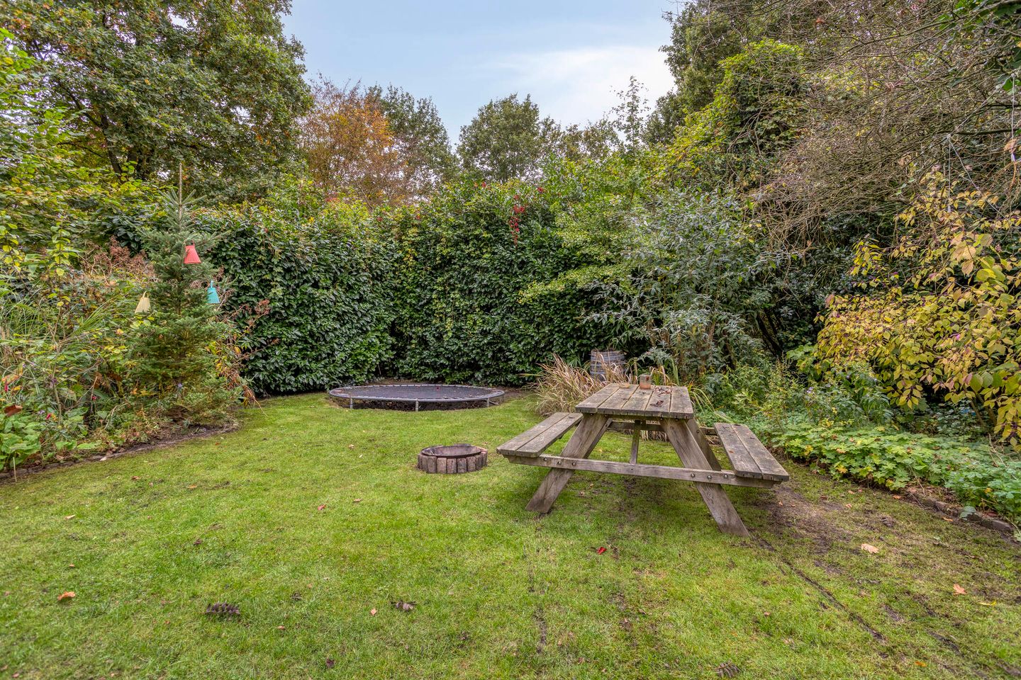 Photo 44 of Struikstuk 48