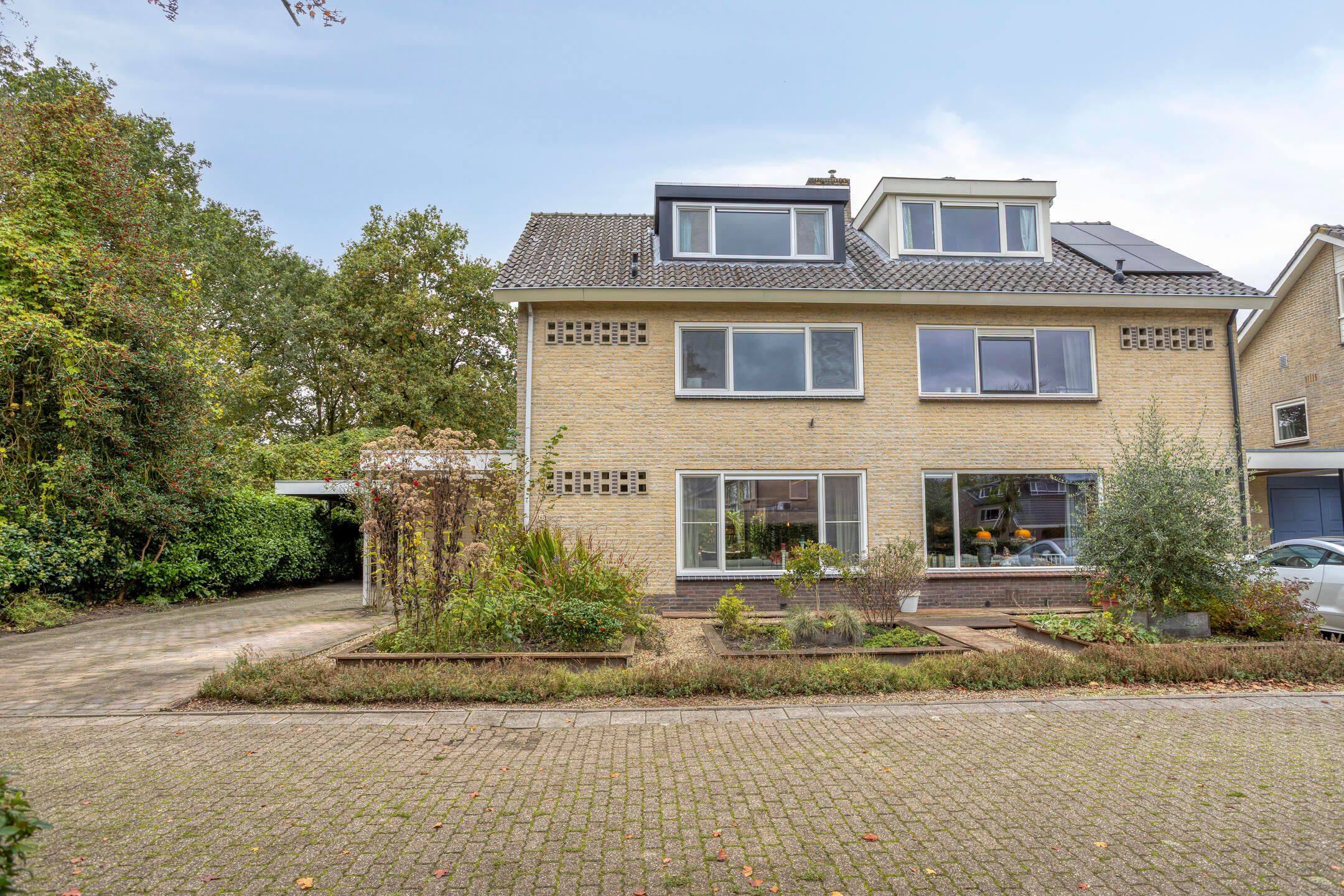 Photo 45 of Struikstuk 48