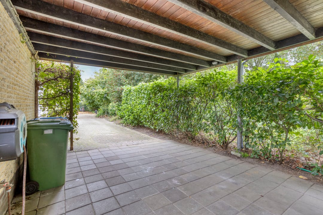 Photo 46 of Struikstuk 48